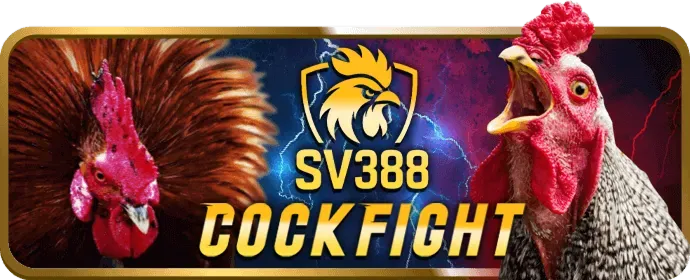 Chương trình VIP tiphu88 win